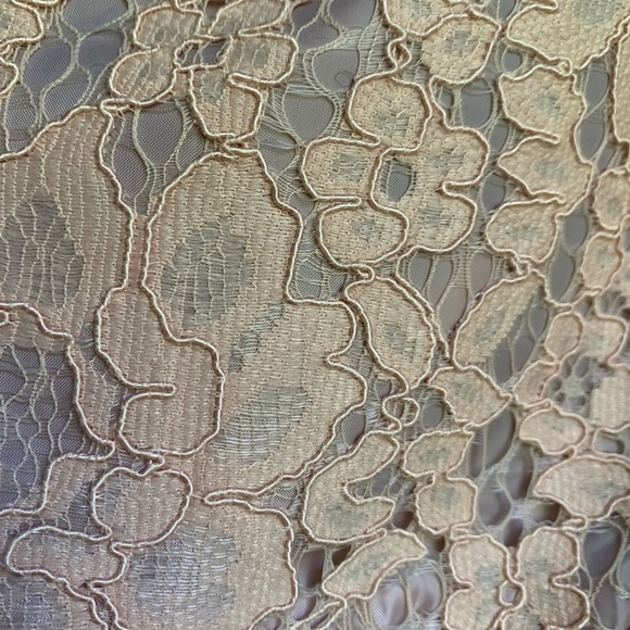 NWOT ASOS! lace formal shorts - Picture 4 of 4